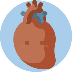 Feinstaub Auswirkungen auf das Herzkreislaufsystem