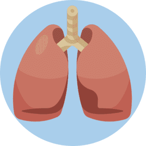 Feinstaub Auswirkungen auf das Atmnungssystem