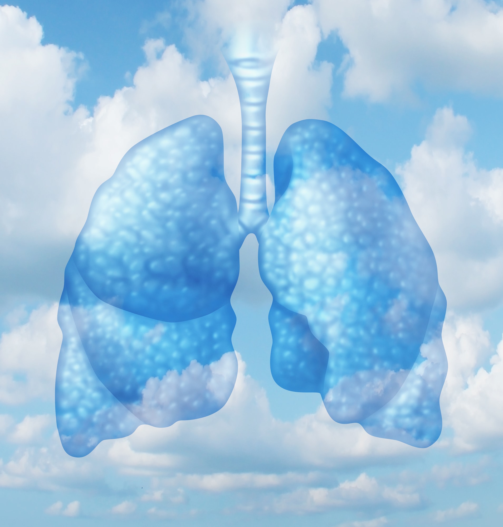 Saubere Luft für die Lungen